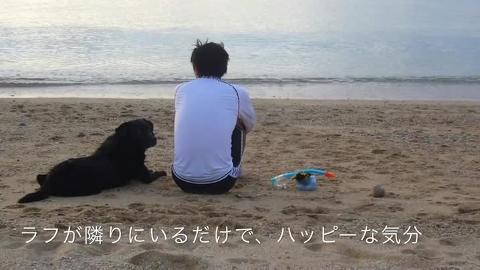 沖縄で愛犬と思い出作りをしませんか