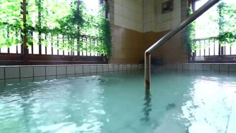 松之山温泉　ほんのり薫る自然のこころ　野本旅館