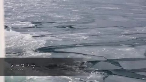 ◆体験／オホーツク・知床の流氷見学！砕氷船おーろら号
