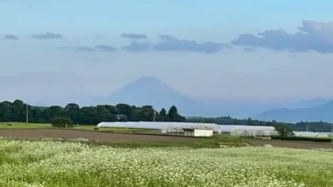 秋　蕎麦の花咲く信州富士見町の田園風景　